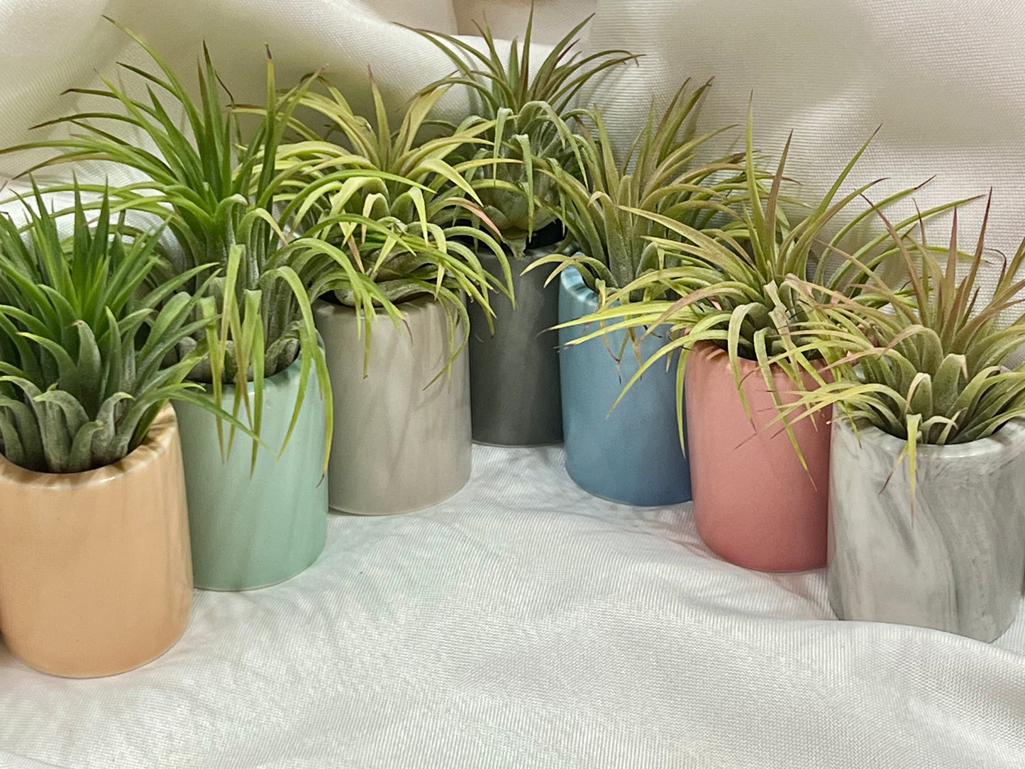 Custom Pick-up Order