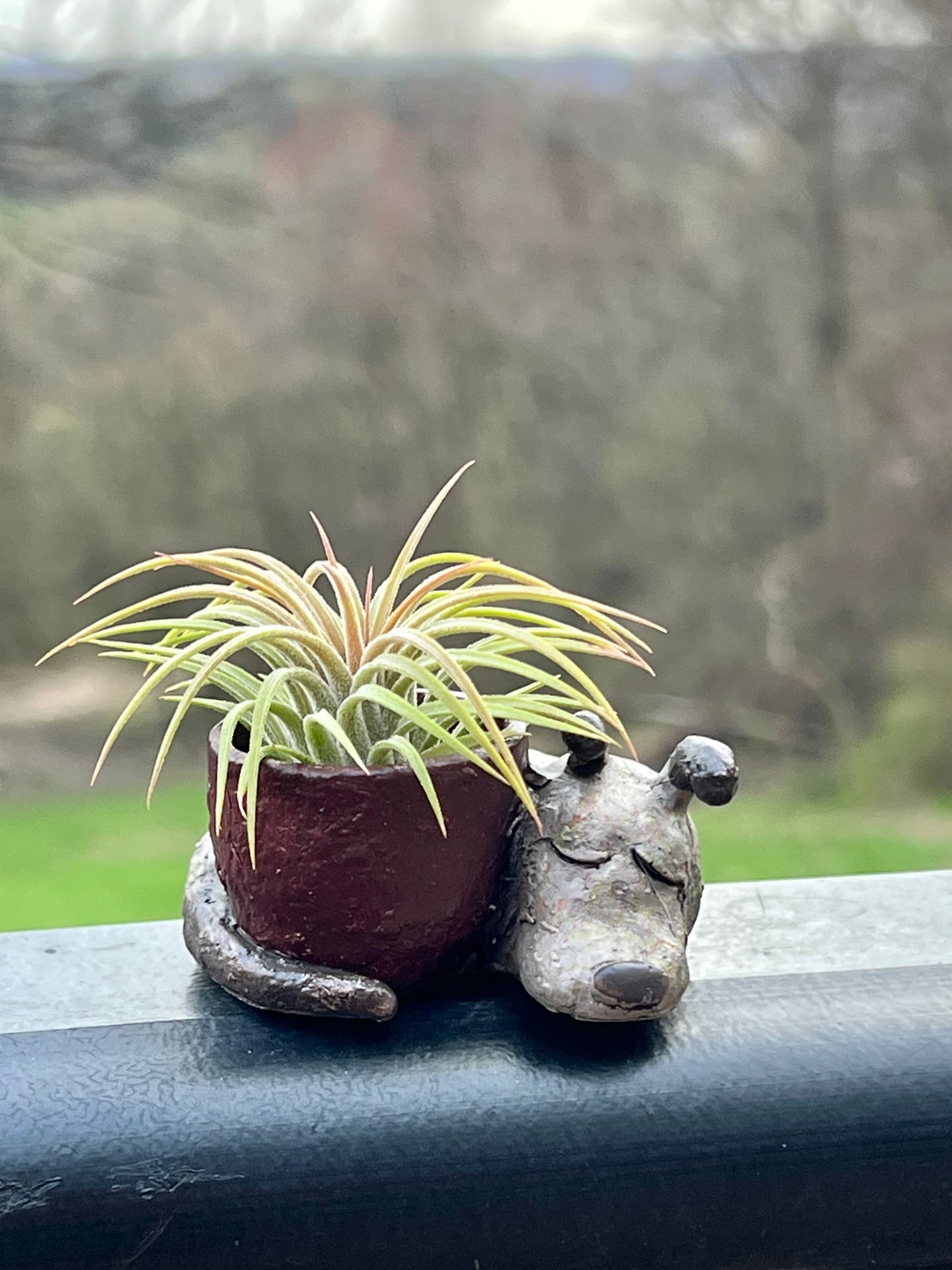 Baby Dreamer Dog Mini Blobhouse Planter With Assorted Air Plant