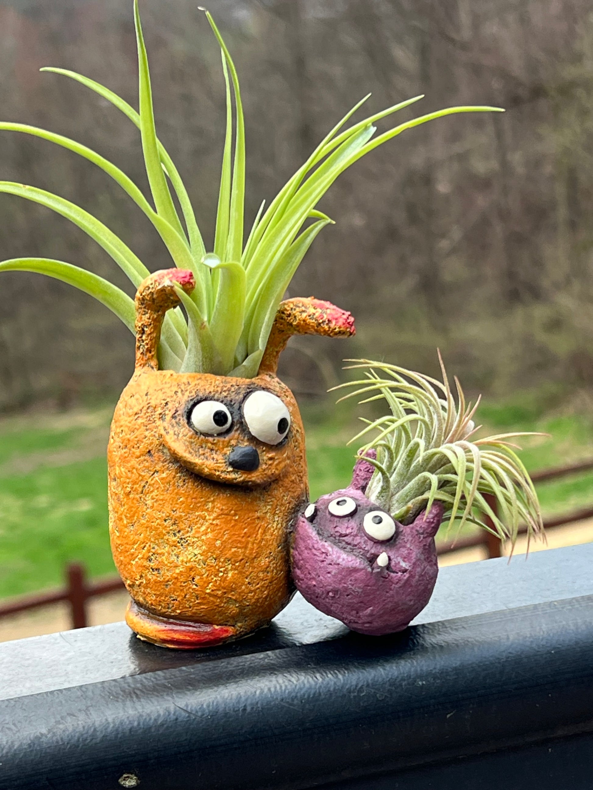 Bloomies Best Bud Blobhouse With Air Plant