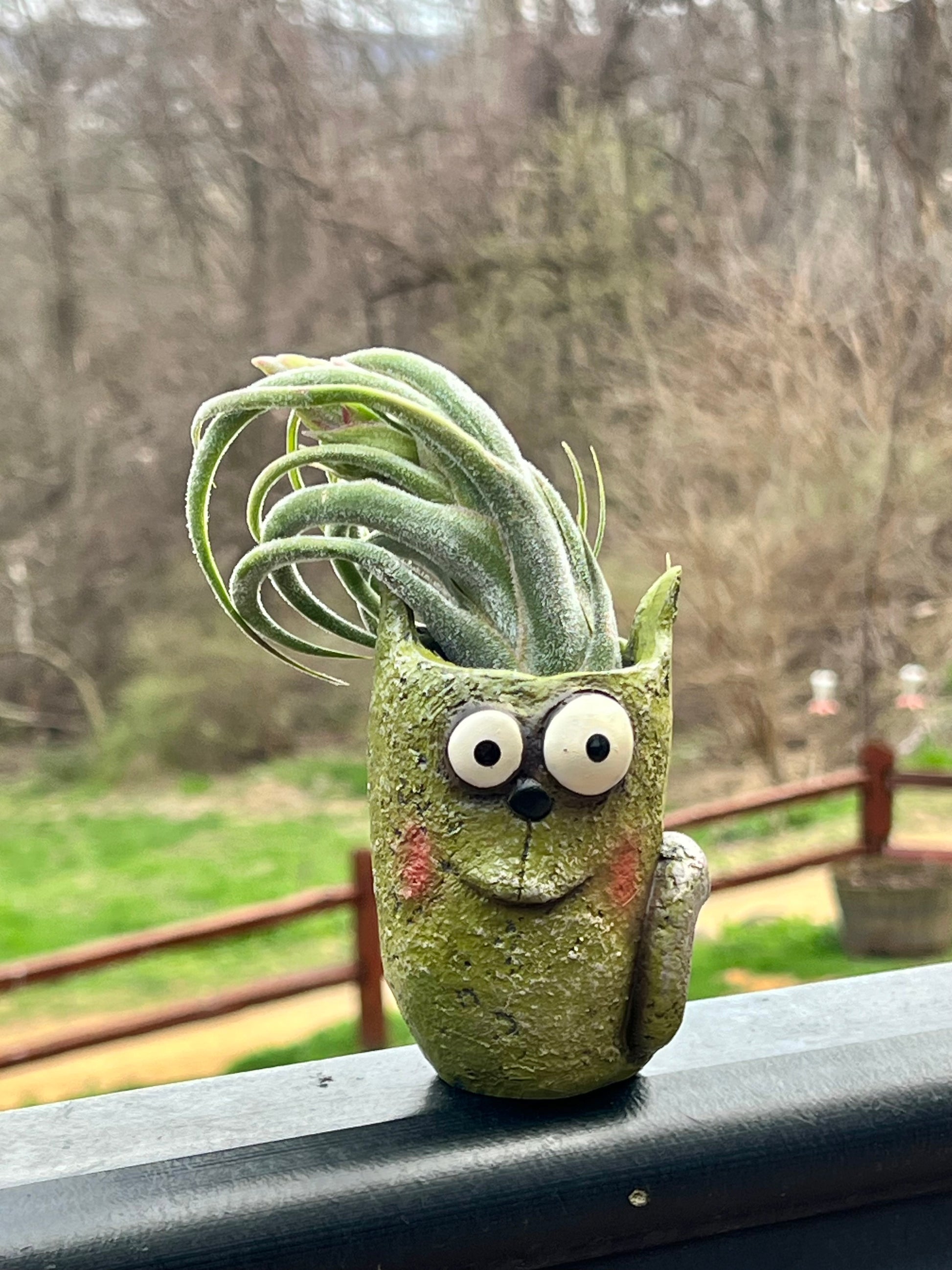 Bloomies Walley Blobhouse Planter With Assorted Air Plant