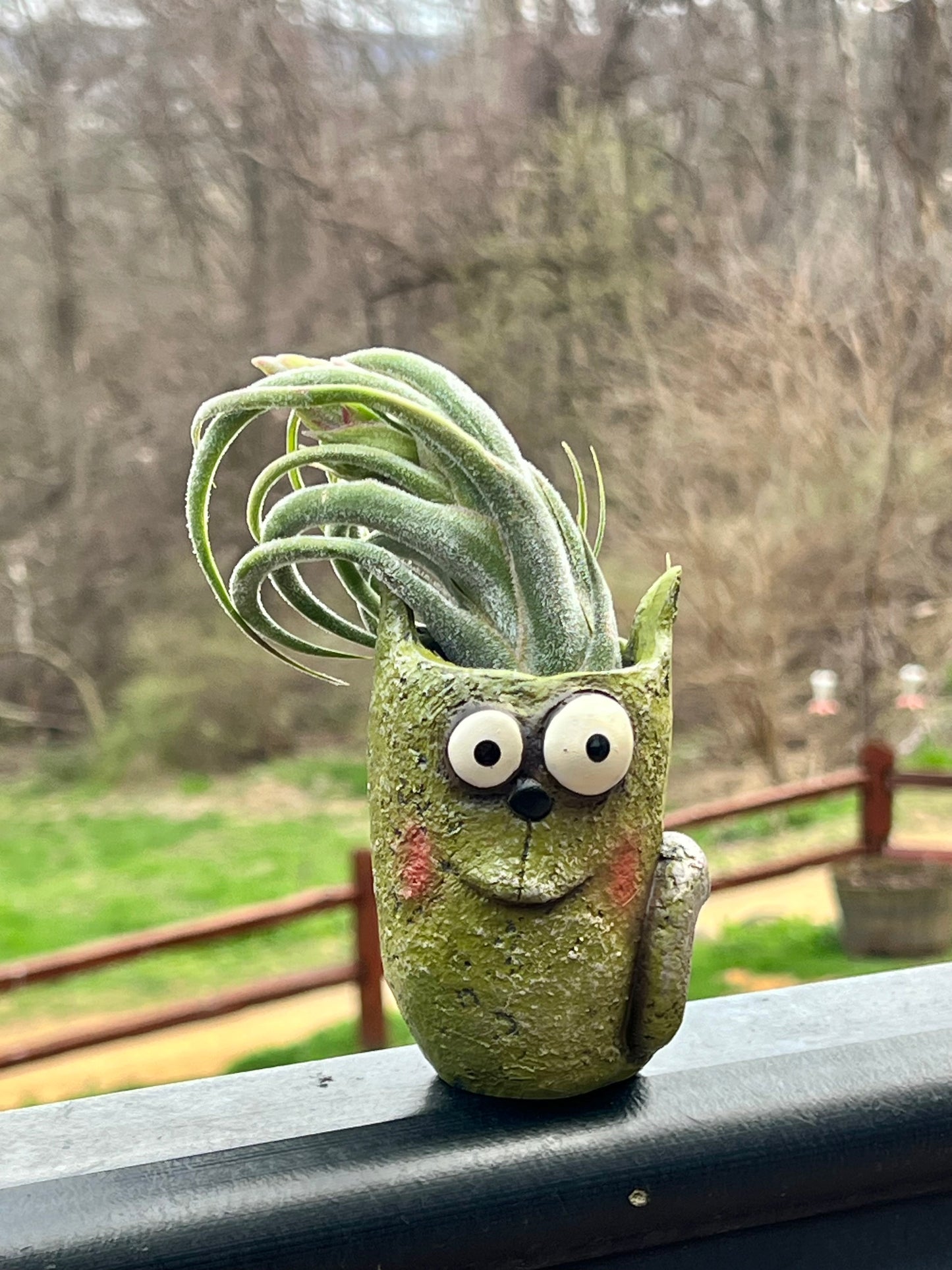 Bloomies Walley Blobhouse Planter With Assorted Air Plant