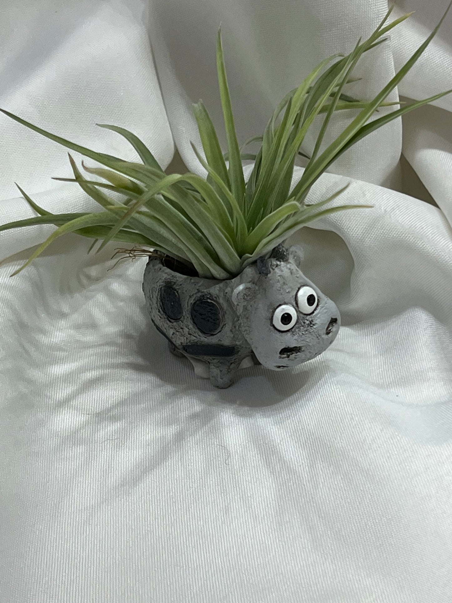 Cow Blobhouse With Air Plant