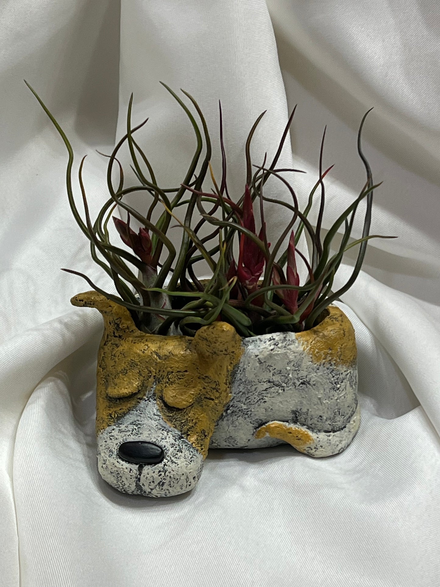 Dog Blobhouse With Air Plant