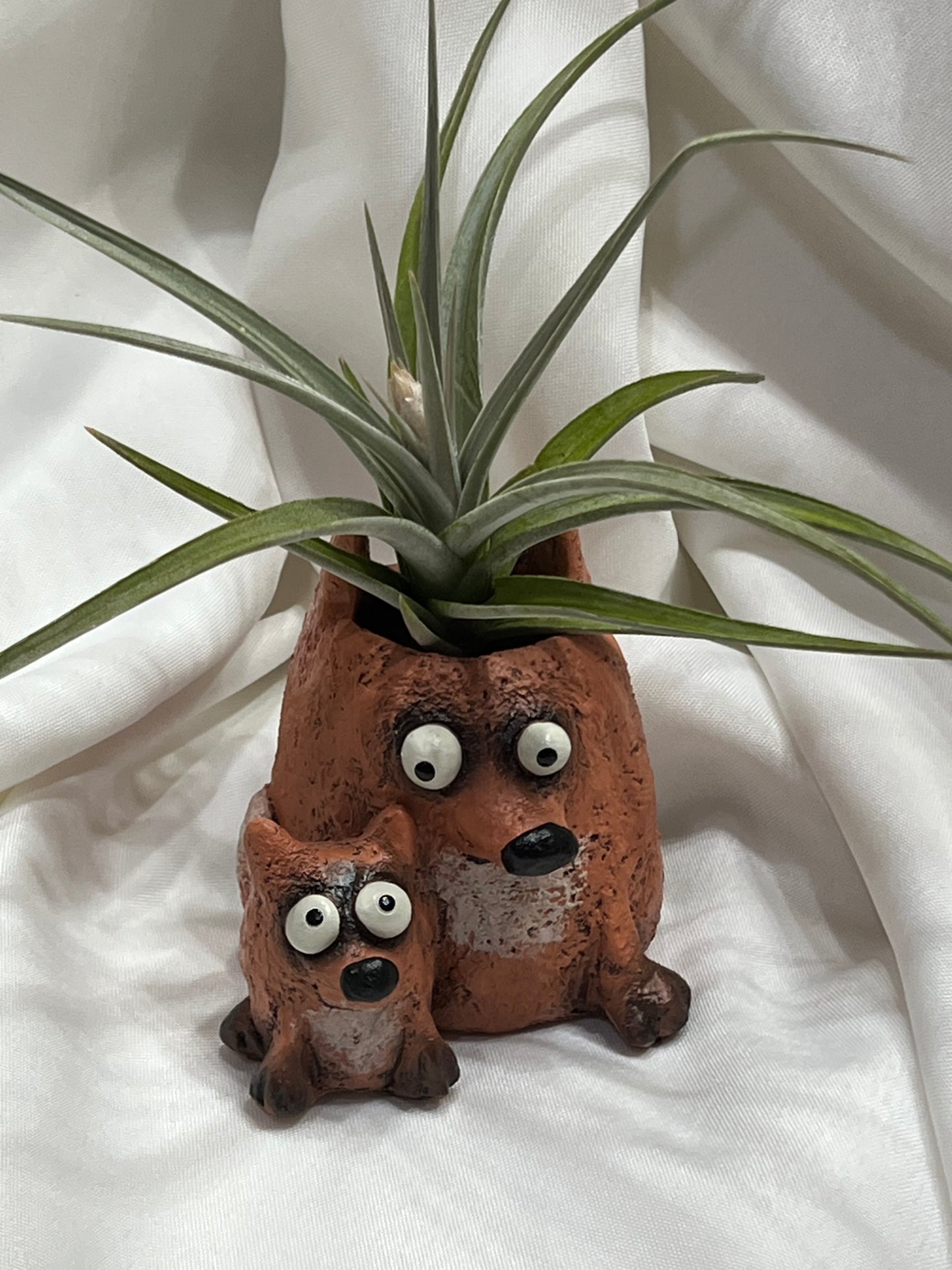 Fox Blobhouse with Air Plant