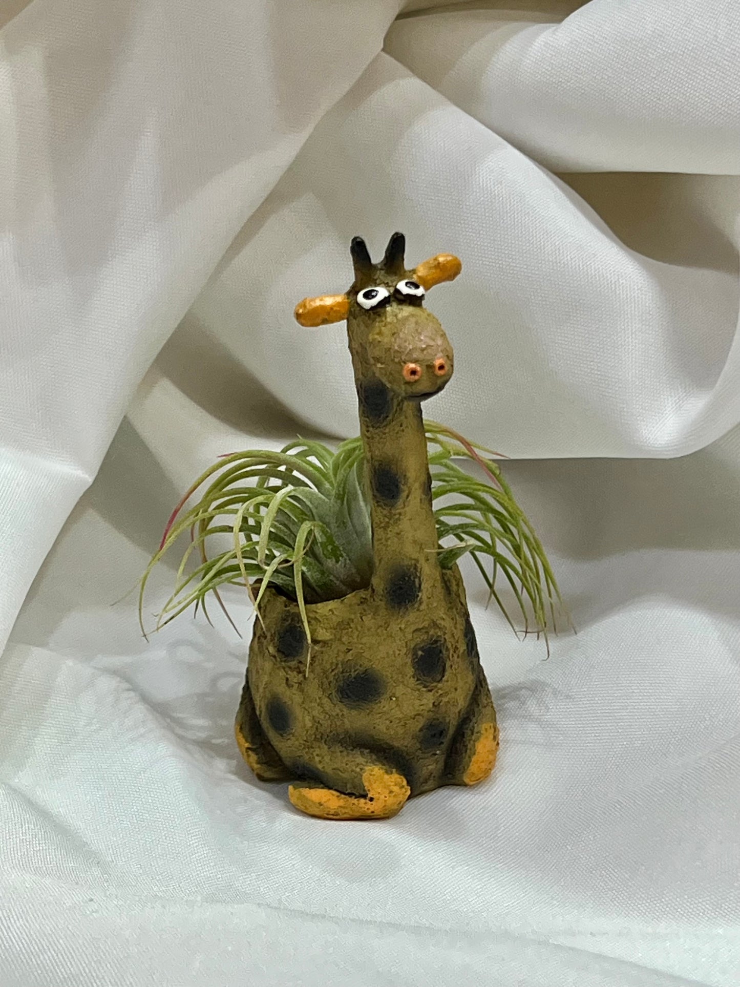 Giraffe Blob house with Air Plant