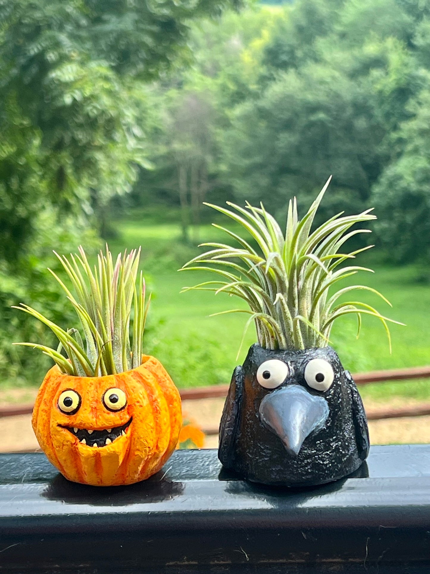 Baby Eddie Crow Blob House Planter or Pumpkin With Assorted Air Plant