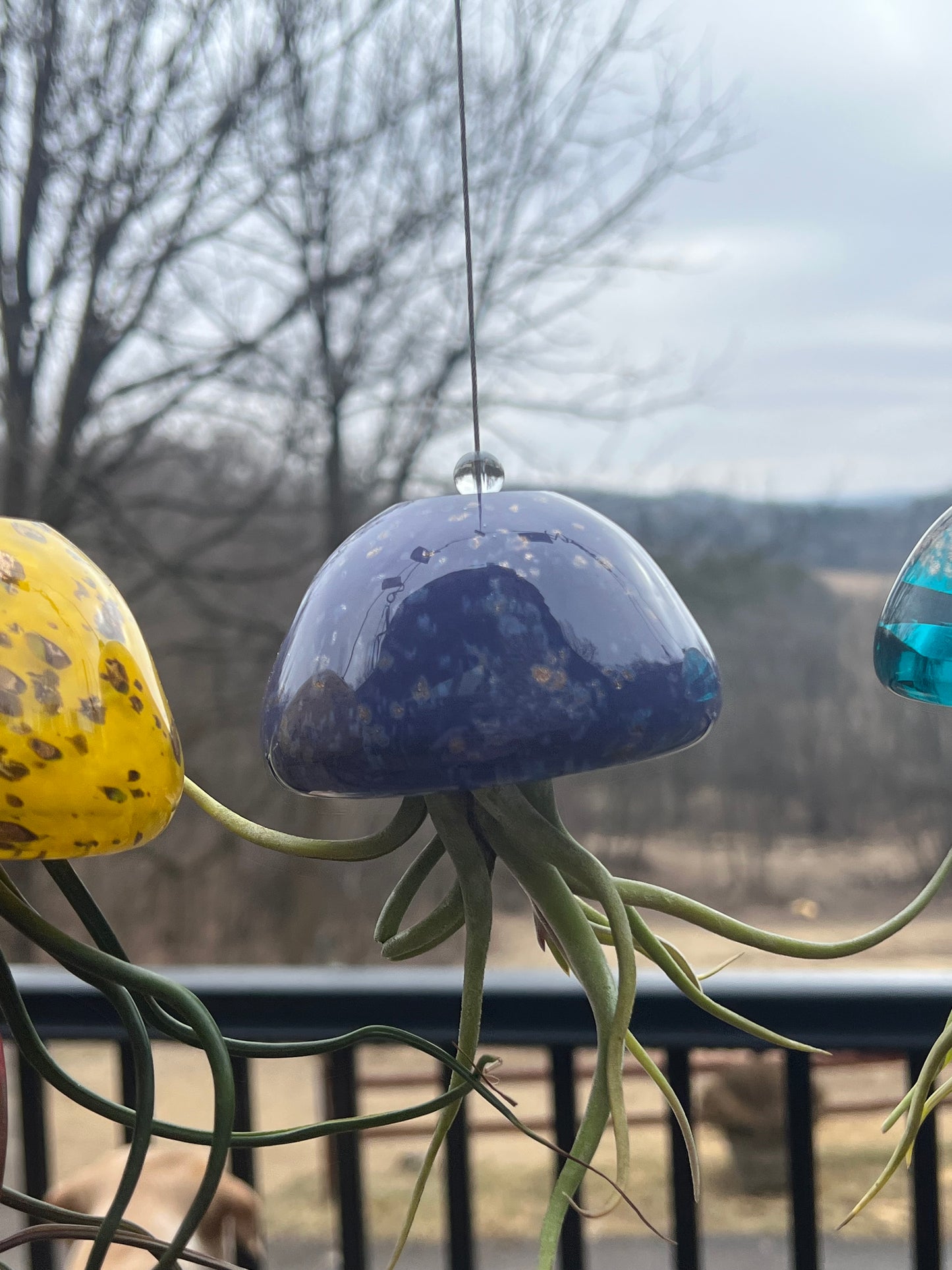 Jellyfish Hand Blown Art Glass Air Plant Holder With Assorted Air Plant