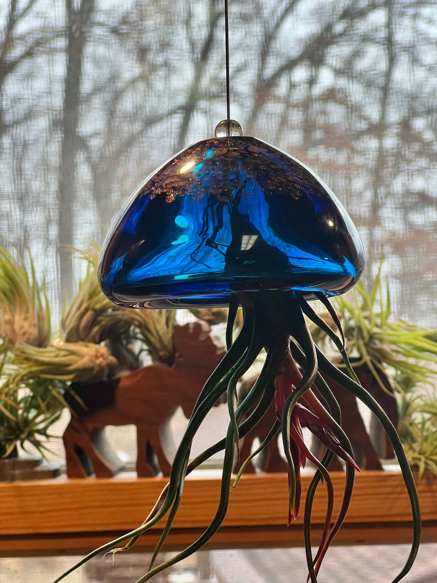 Jellyfish Hand Blown Art Glass Air Plant Holder With Assorted Air Plant