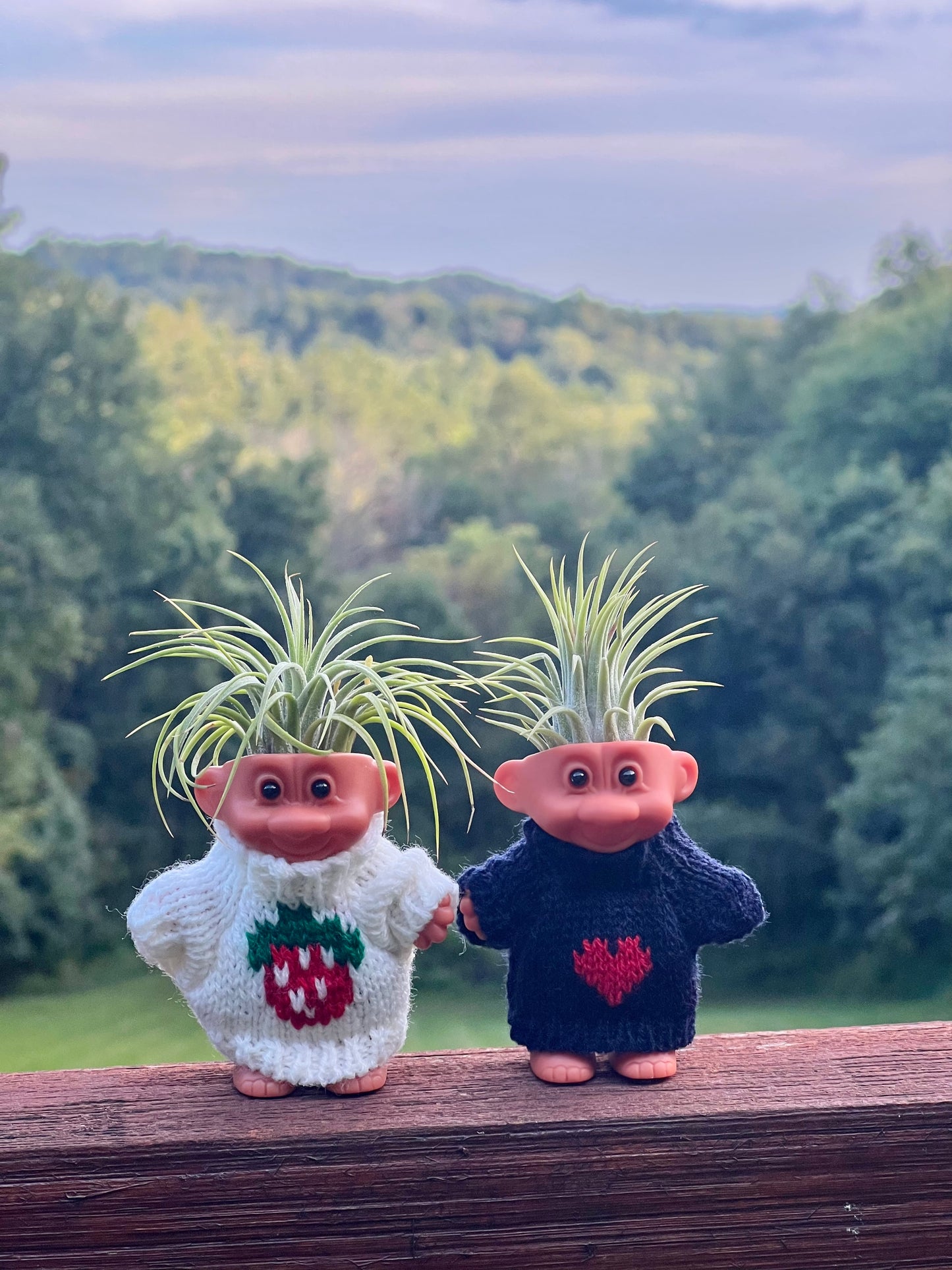 Troll Air Plant Display with Sweater and Assorted Air Plant