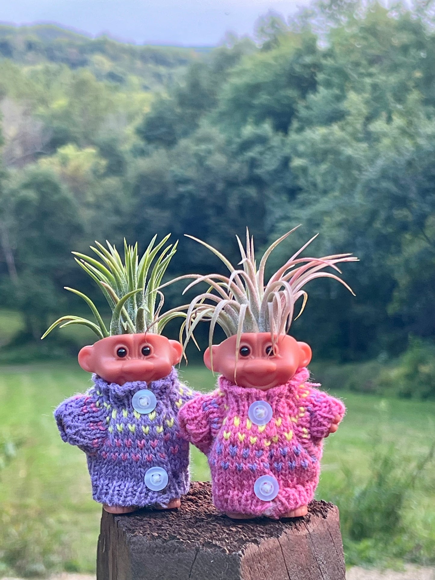 Troll Air Plant Display with Sweater and Assorted Air Plant