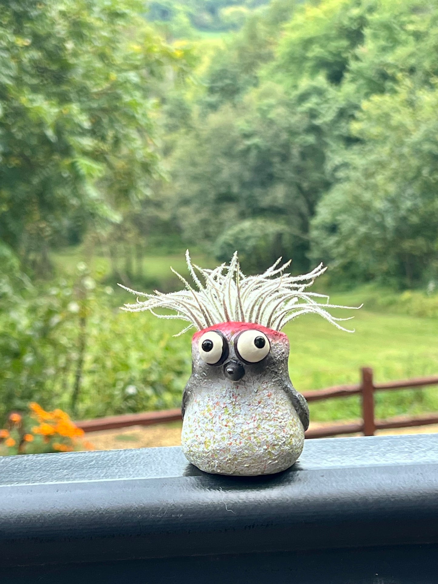 Baby Woodpecker, Winnie, Bird Mini Blobhouse Planter With Assorted Air Plant