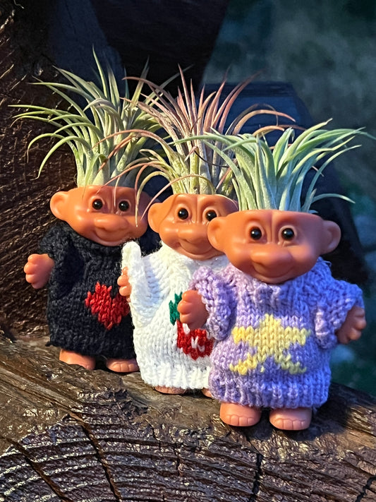 Troll Air Plant Display with Sweater and Assorted Air Plant