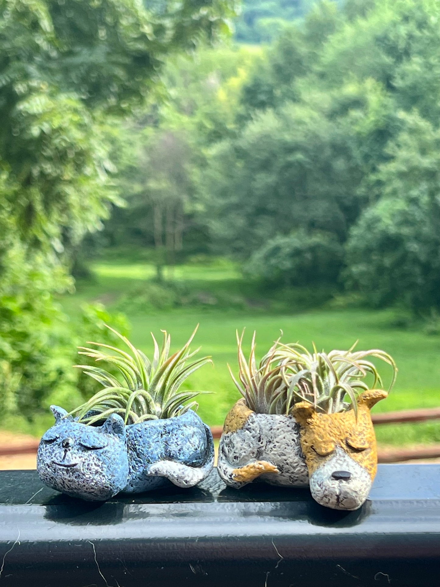 Luna Dog or Sleeping Cat Mini Blobhouse Planter With Assorted Air Plant