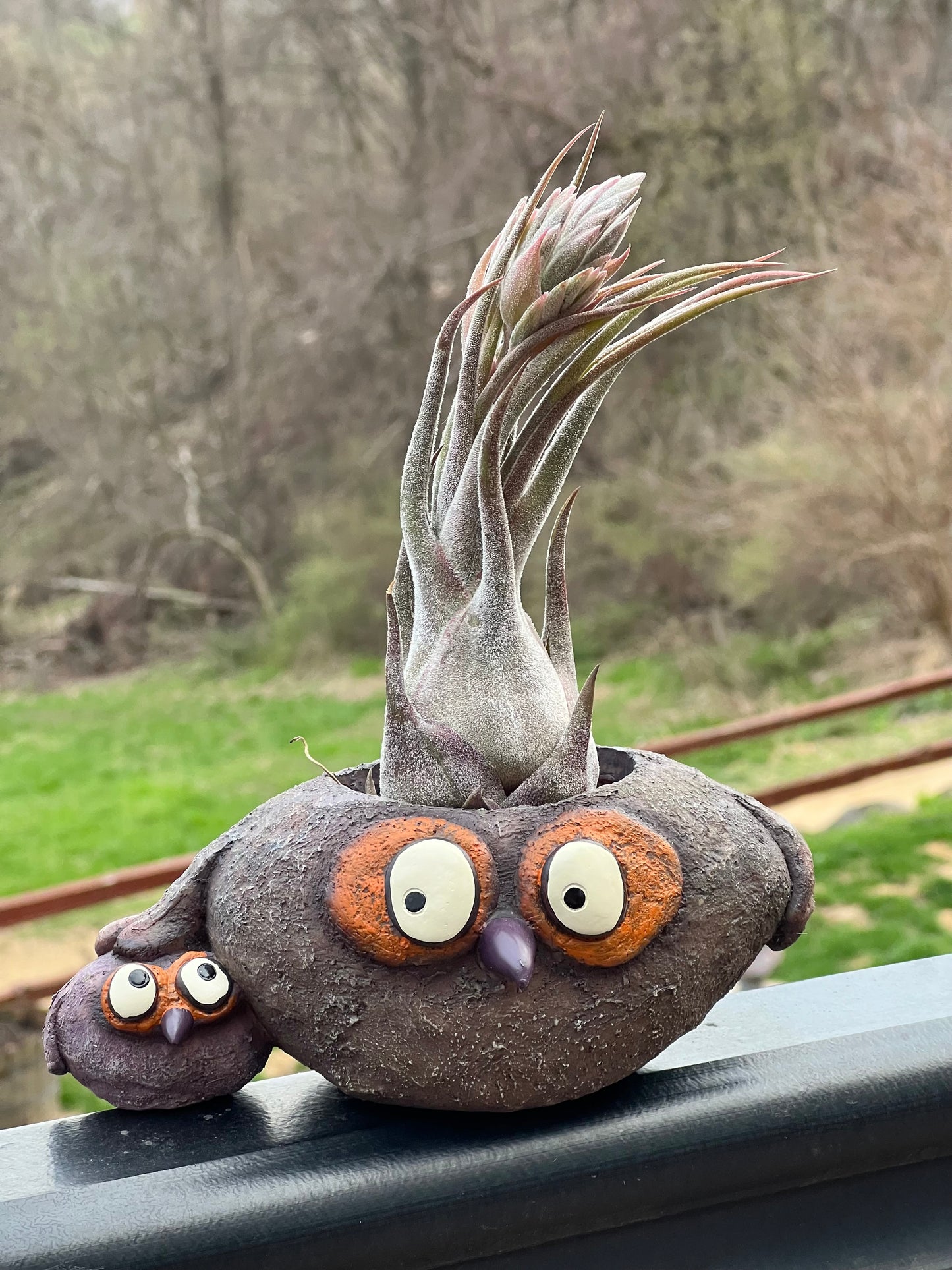 Papaw and Chip Owl Bird Blobhouse Planter With Assorted Air Plant