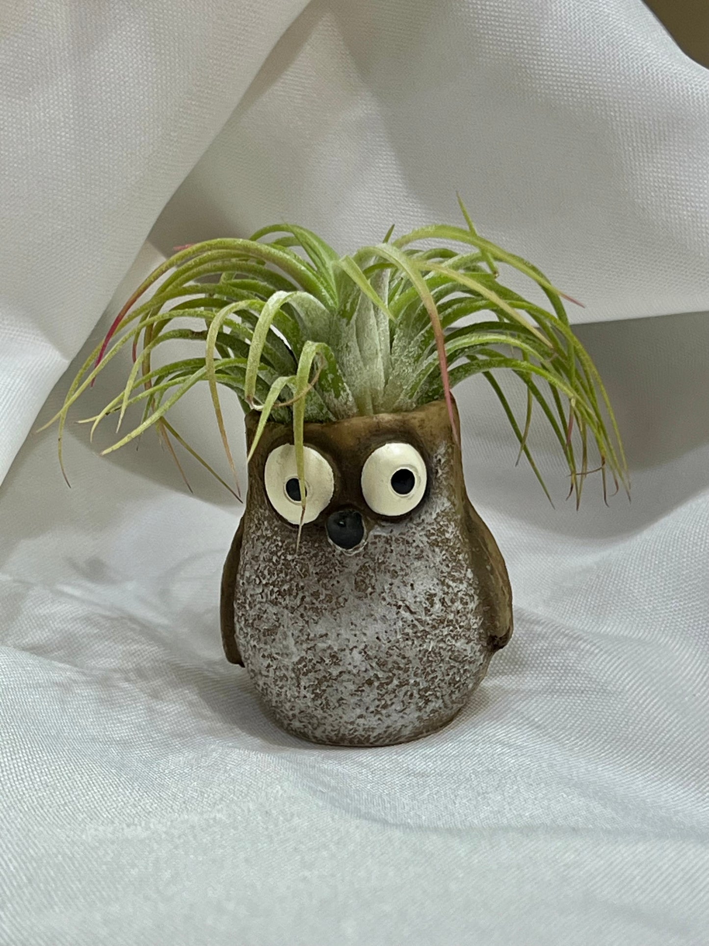 Sandpiper Bird Blobhouse