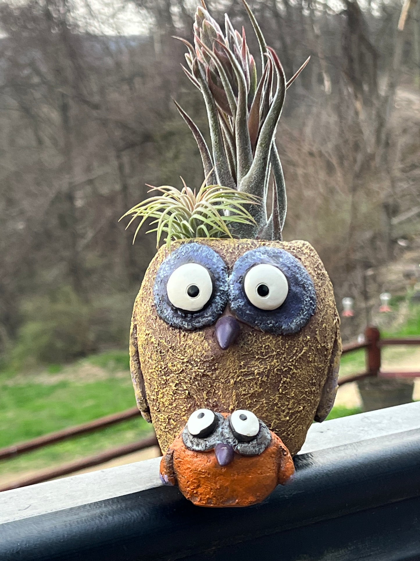 Sissy & Bab Owl Bird Blobhouse Planter With Assorted Air Plant