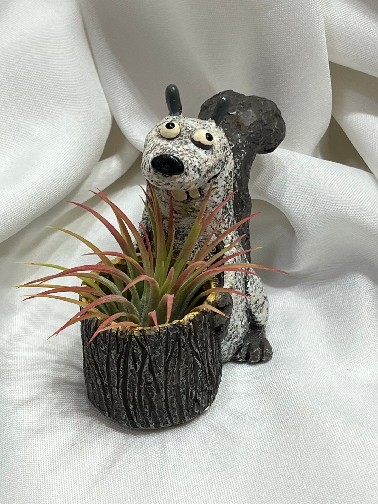 Squirrel Blobhouse with Air Plant