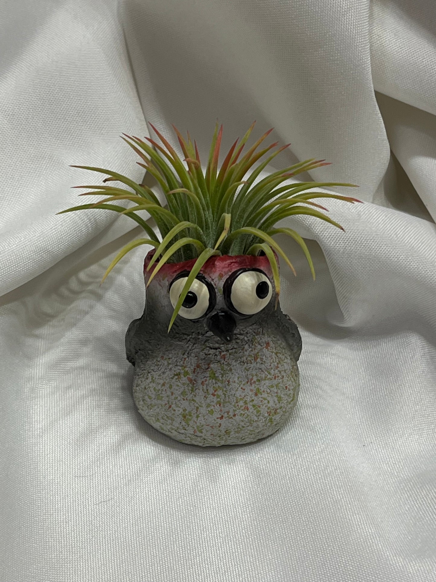Woodpecker Blobhouse With Air Plant