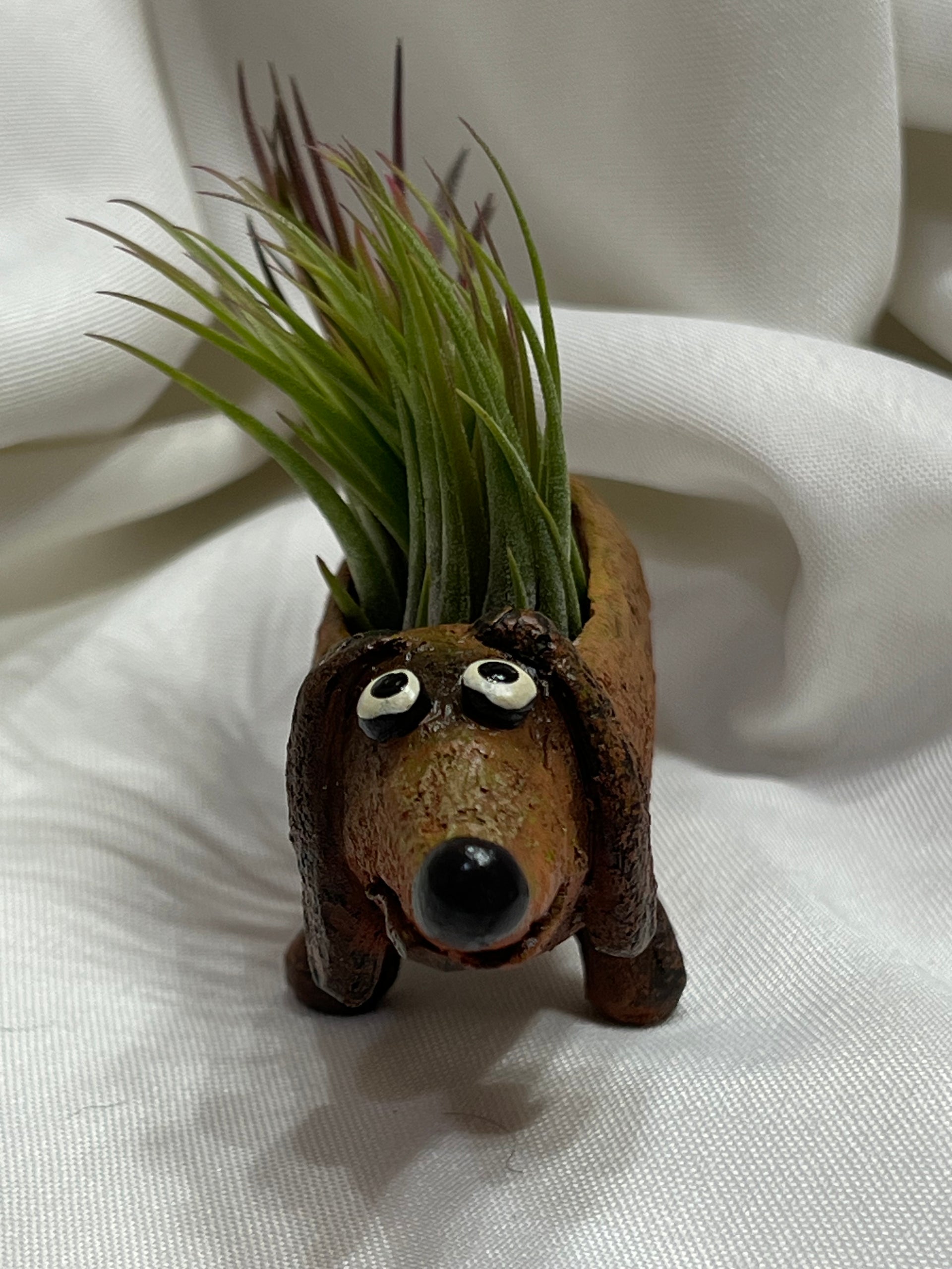 blob house planter Baby Dobby Doxin Mini Blobhouse Planter With Assorted Air Plant – Valley View Ridge