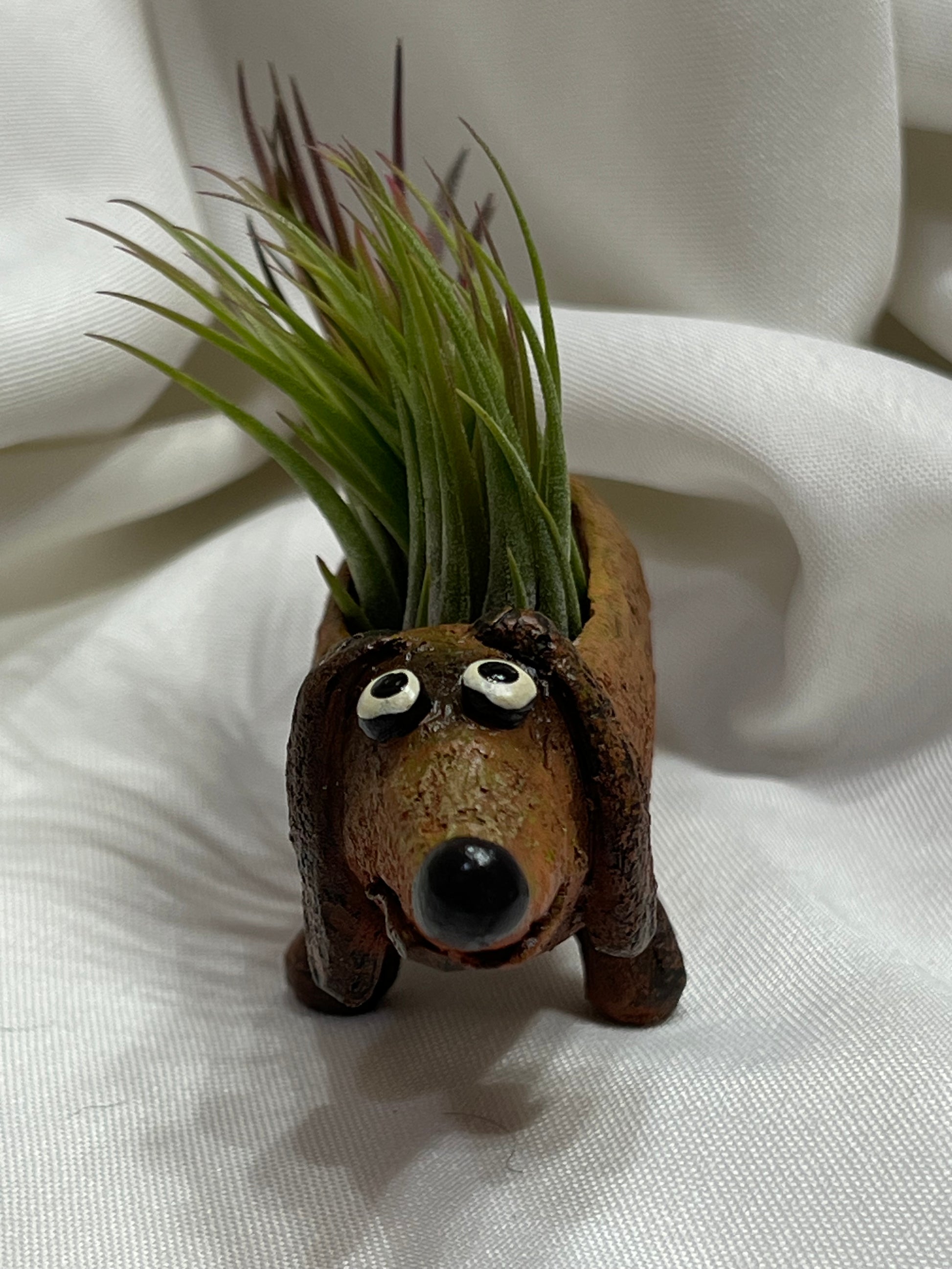 dachshund air plant Baby Dobby Doxin Mini Blobhouse Planter With Assorted Air Plant