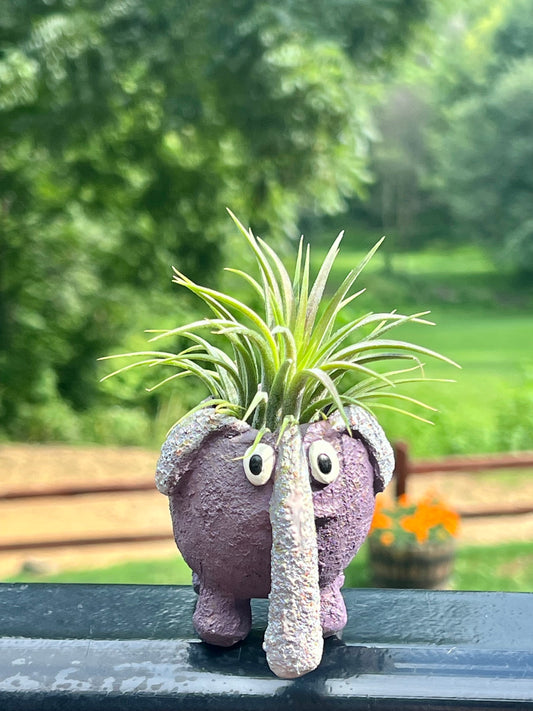 Baby Elephant, Dinky, Mini Blobhouse Planter With Assorted Air Plant