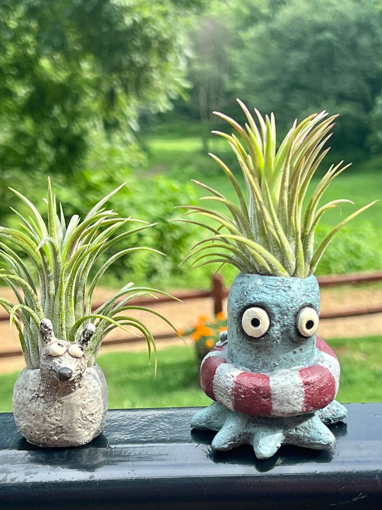 Octopus with Life Ring Blobhouse Planter - Ollie With Assorted Air Plant