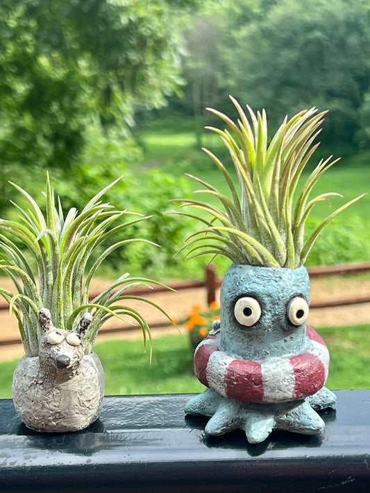 Octopus with Life Ring Blobhouse Planter - Ollie With Assorted Air Plant
