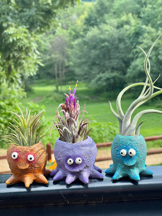 Baby Octopus Blobhouse Planters Assorted Colors with Assorted Air Plant