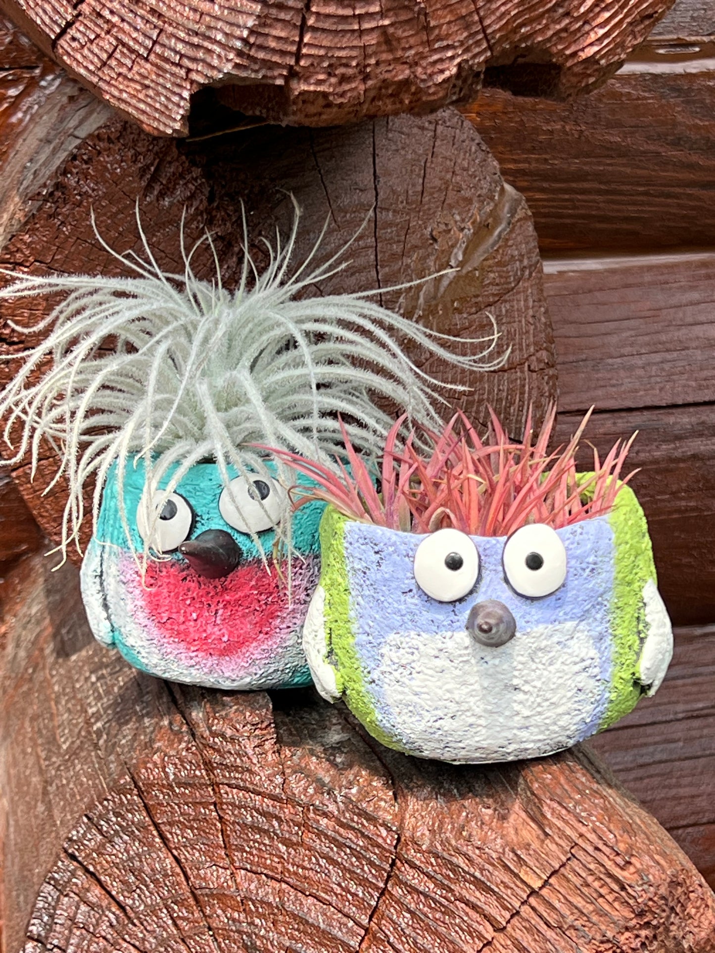 Beautiful Birds Blobhouse Planter With Assorted Air Plant