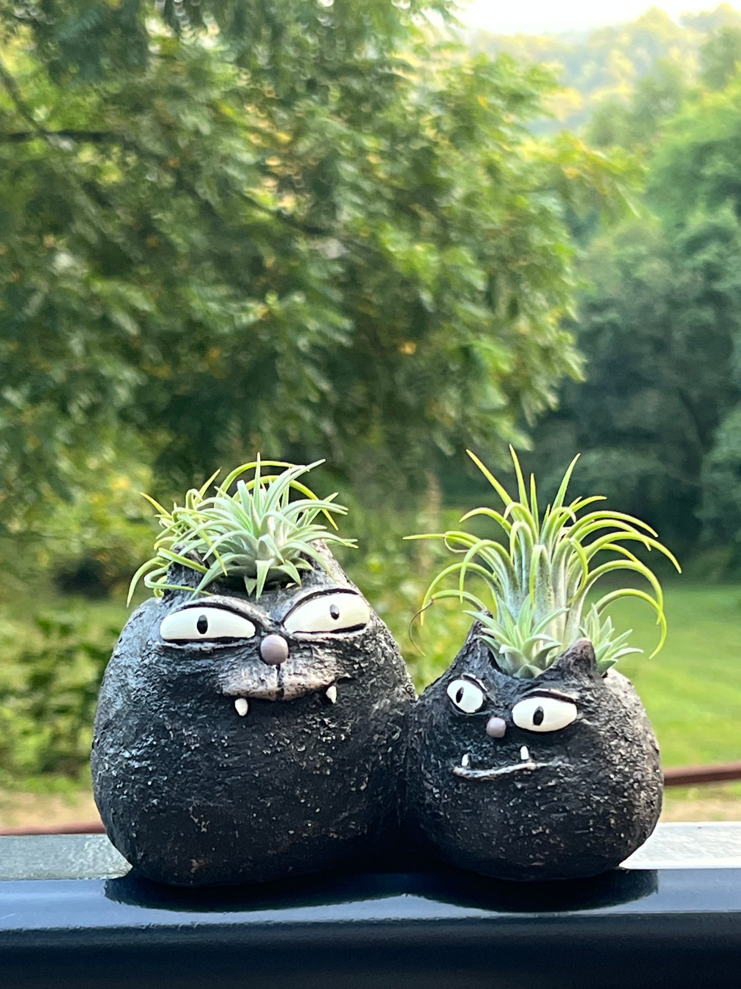 Spooky and Fang Cat Blobhouse Plant with Assorted Air Plants