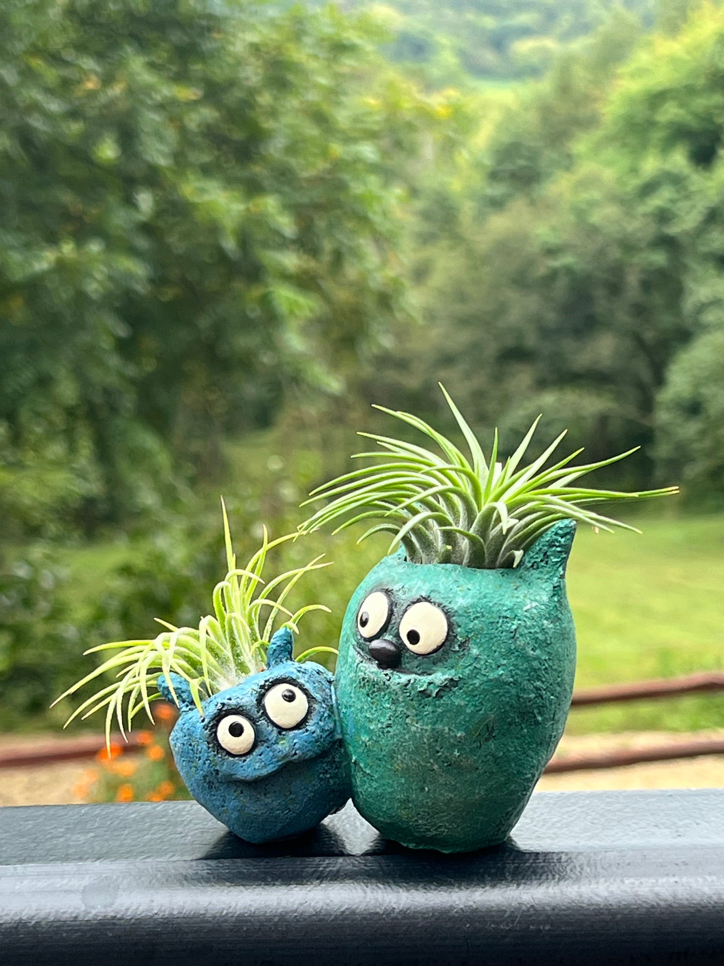 Bloomies Wingman Blobhouse Planter - Blue / Teal With Assorted Air Plants