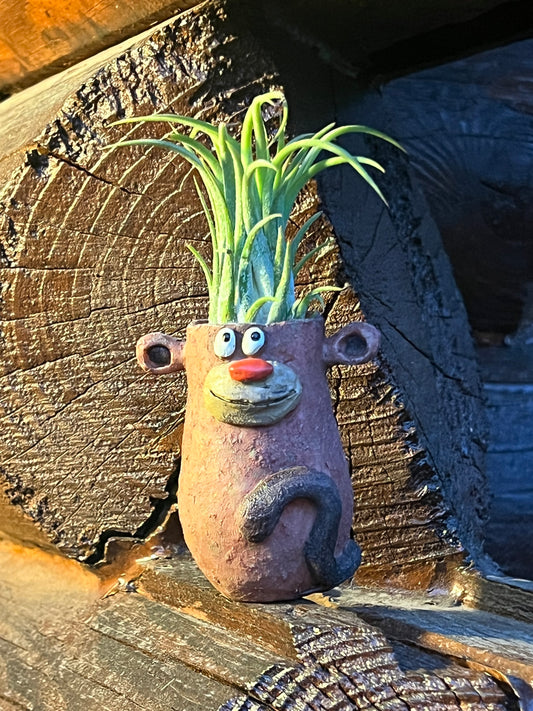 Baby Monkey, Peeper, Mini Blobhouse Planter With Assorted Air Plant