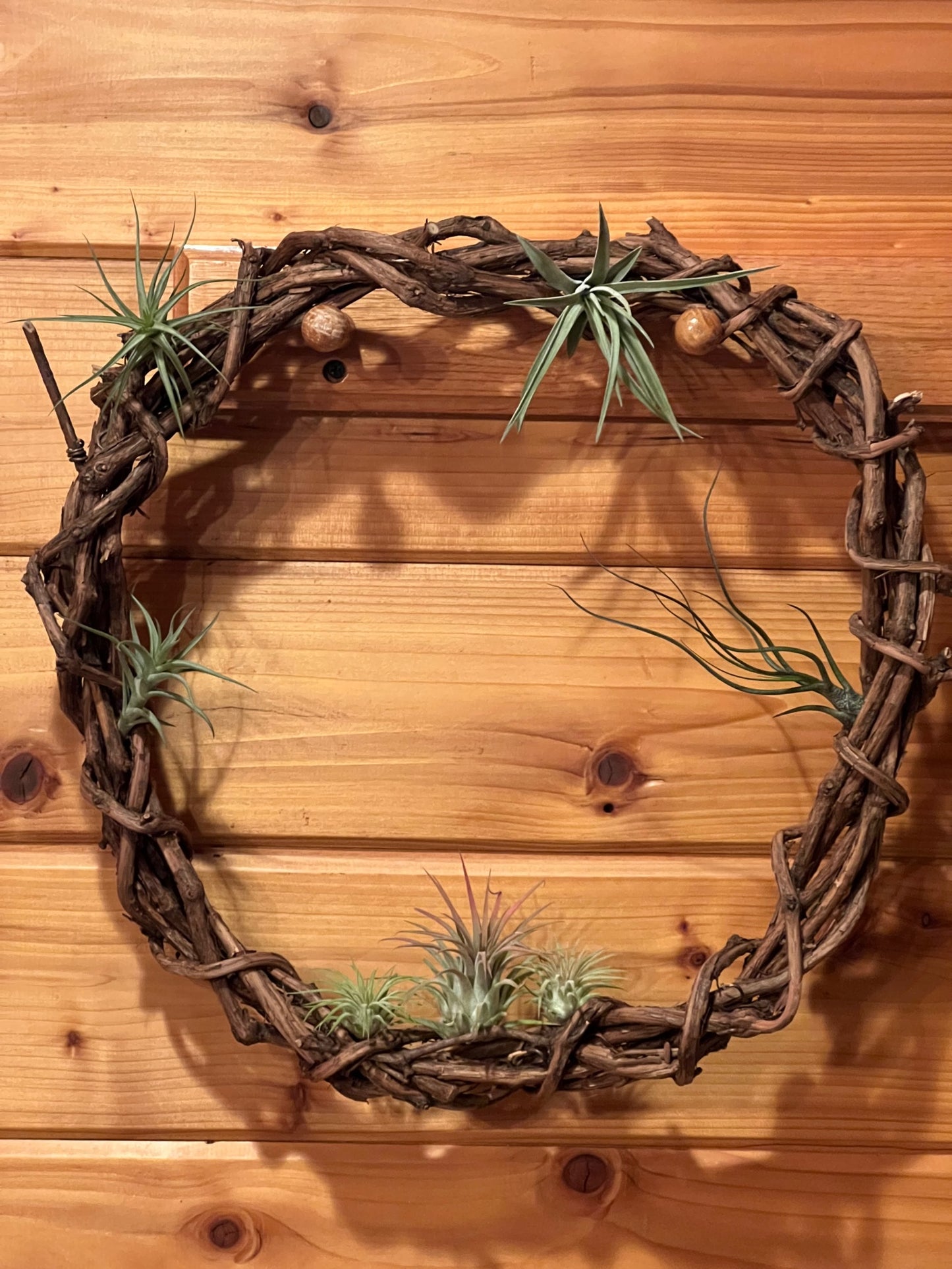 Wreath with Air Plants